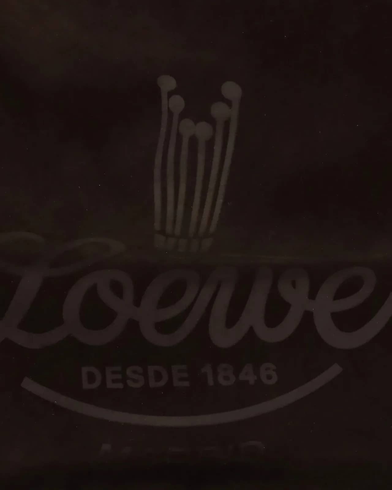 Loewe kahverengi Roomy süet hobo omuz çantası, detay görünüm